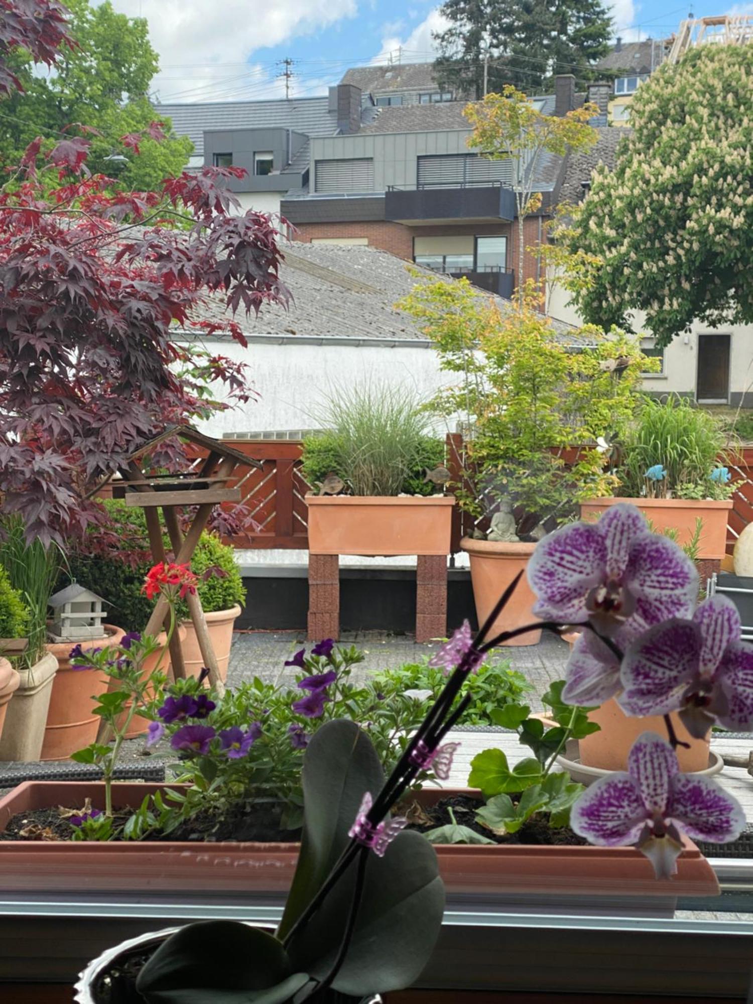 Ferienwohnung Lodge 43 Trier Dış mekan fotoğraf